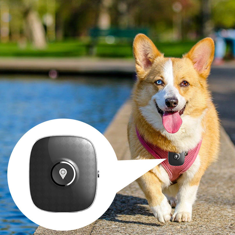 GPS Pet Tracker – Secure Your Pets Against Wandering!