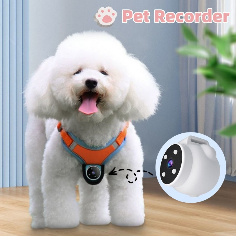 Pet Tracker Collar for Pets